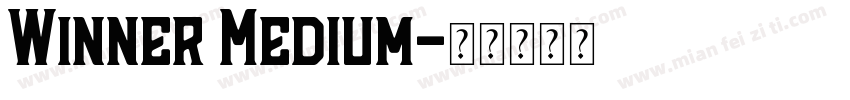 Winner Medium字体转换